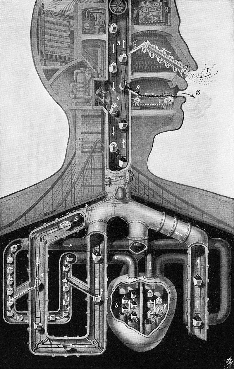 Illustration for article titled Fritz Kahn's Whimsical Infographics Turn People Into Contraptions